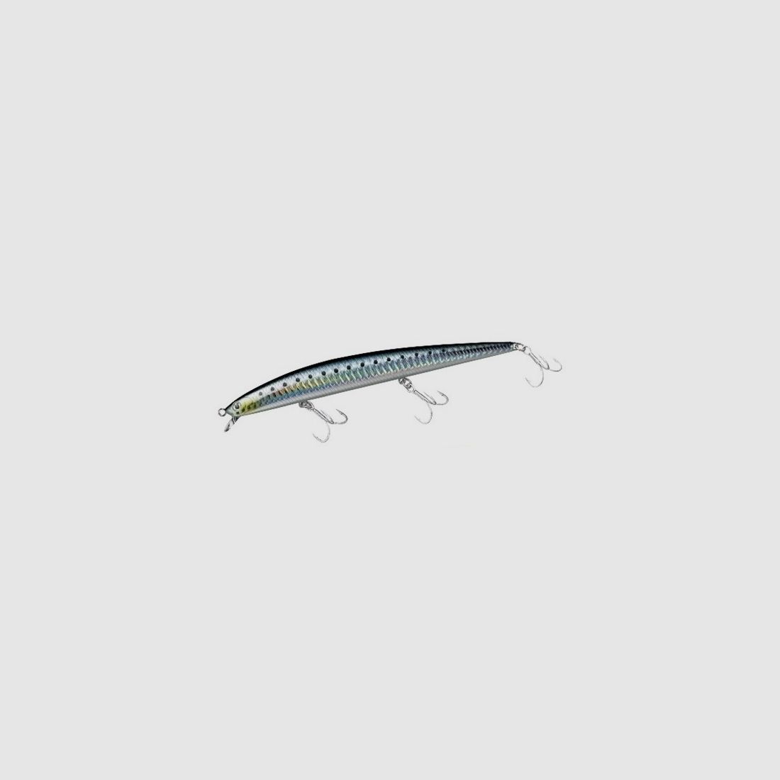 SS SLANDER SHORE LINE SHINER 17F col.Laser Maiwashi
