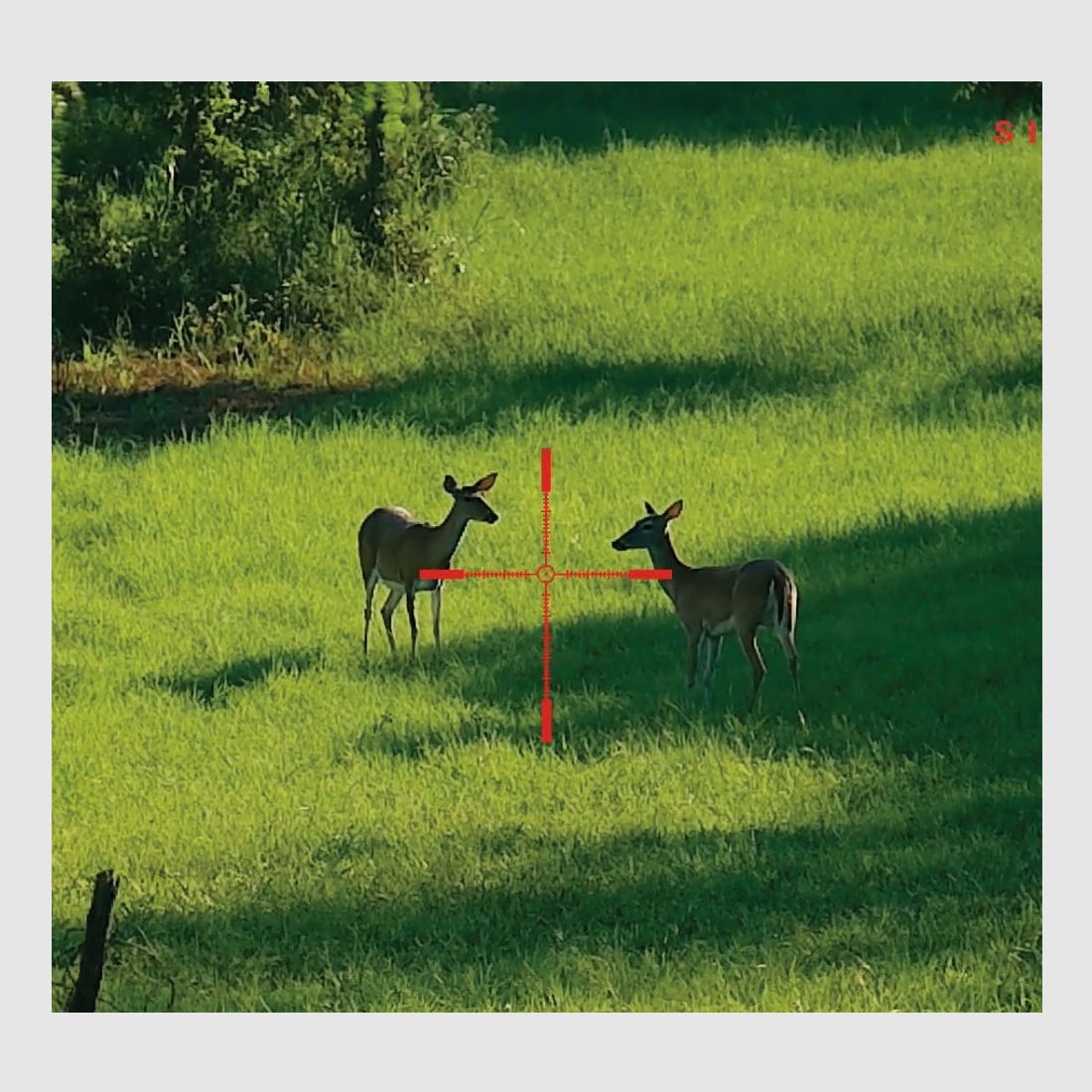 SIGHTMARK Wraith 4K Mini 4-32x32 Digital Day / Night Vision Riflescope, Bild 7 von 12