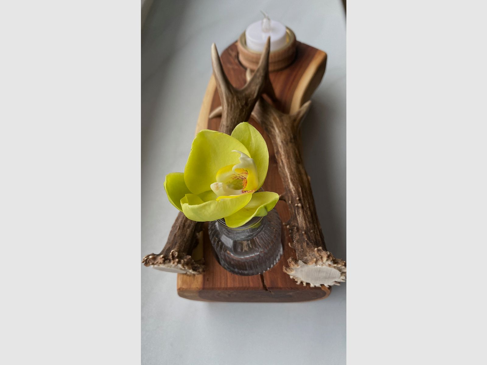 Table decoration decoration lighting vase antlers wood