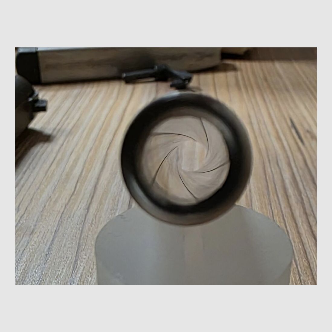 Smith & Wesson Target Champion