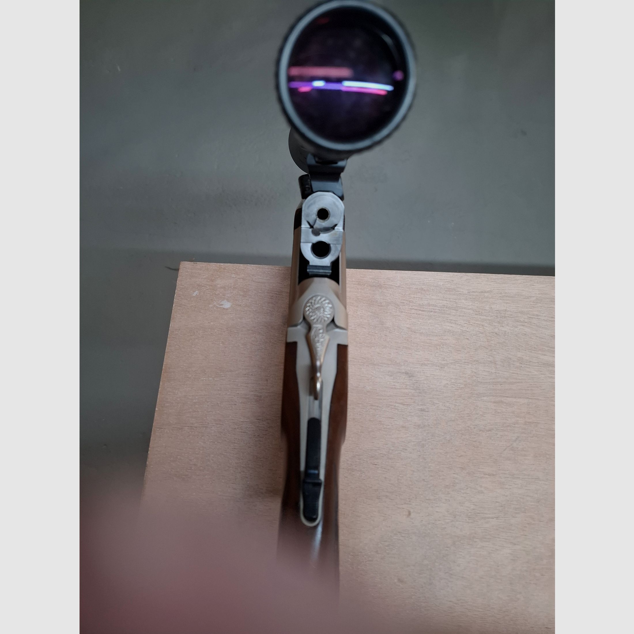 Blaser Bockbüchsflinte BBF 95 avec lunette de qualité Zeiss Diavari-ZM 3-12x56 T*