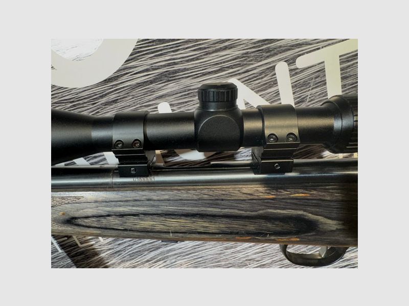 Savage Mark II; RWS 3-9x40