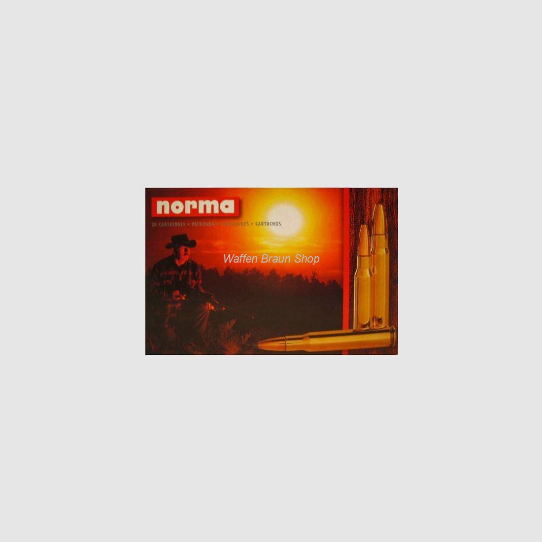 NORMA .375 H&H MAG SW A-FR 19,4G 300GR 20 Stück
