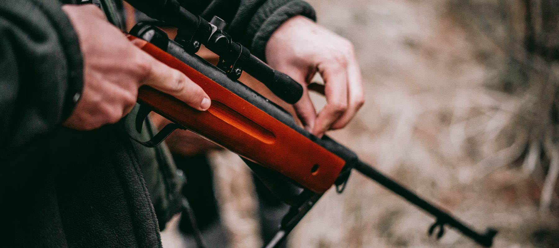 Freizeit-Luftgewehr: Die besten Einstiegsmodelle