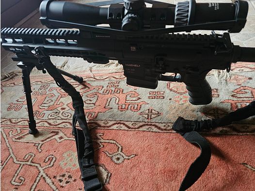 Haenel CR 308 AR 10