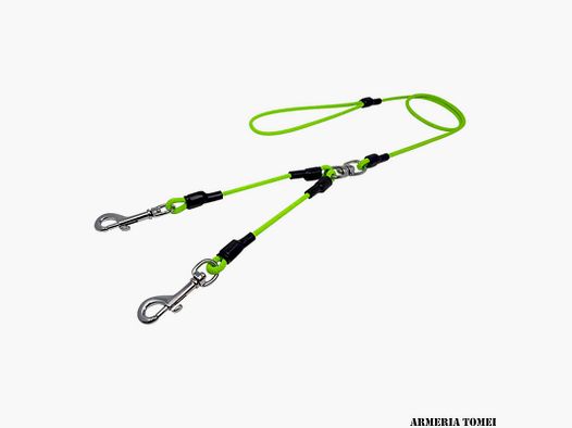 DOPPELTES LEINEN MIT 2 KARABINERN (GRÜN) 130cm