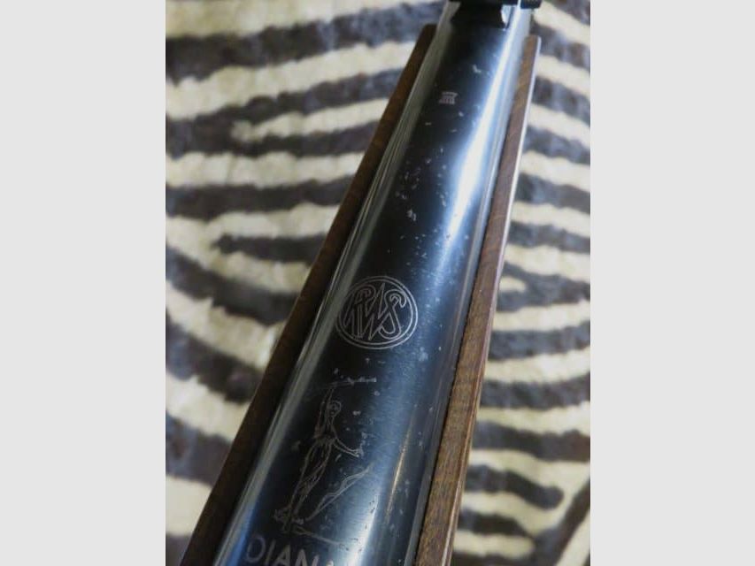 Carabine DIANA Mod.34 T05 cal.4.5mm, image 10 sur 12