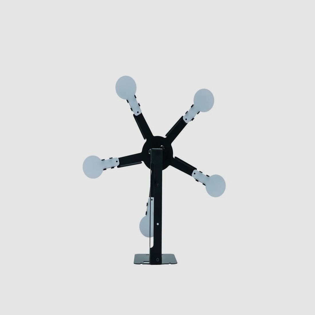 ASG Ferris Wheel Cinq Cibles
