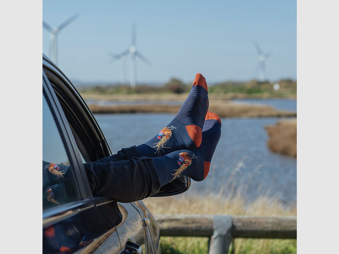 Wrendale Herren - Socken "Ready For My Close Up" mit Fasan