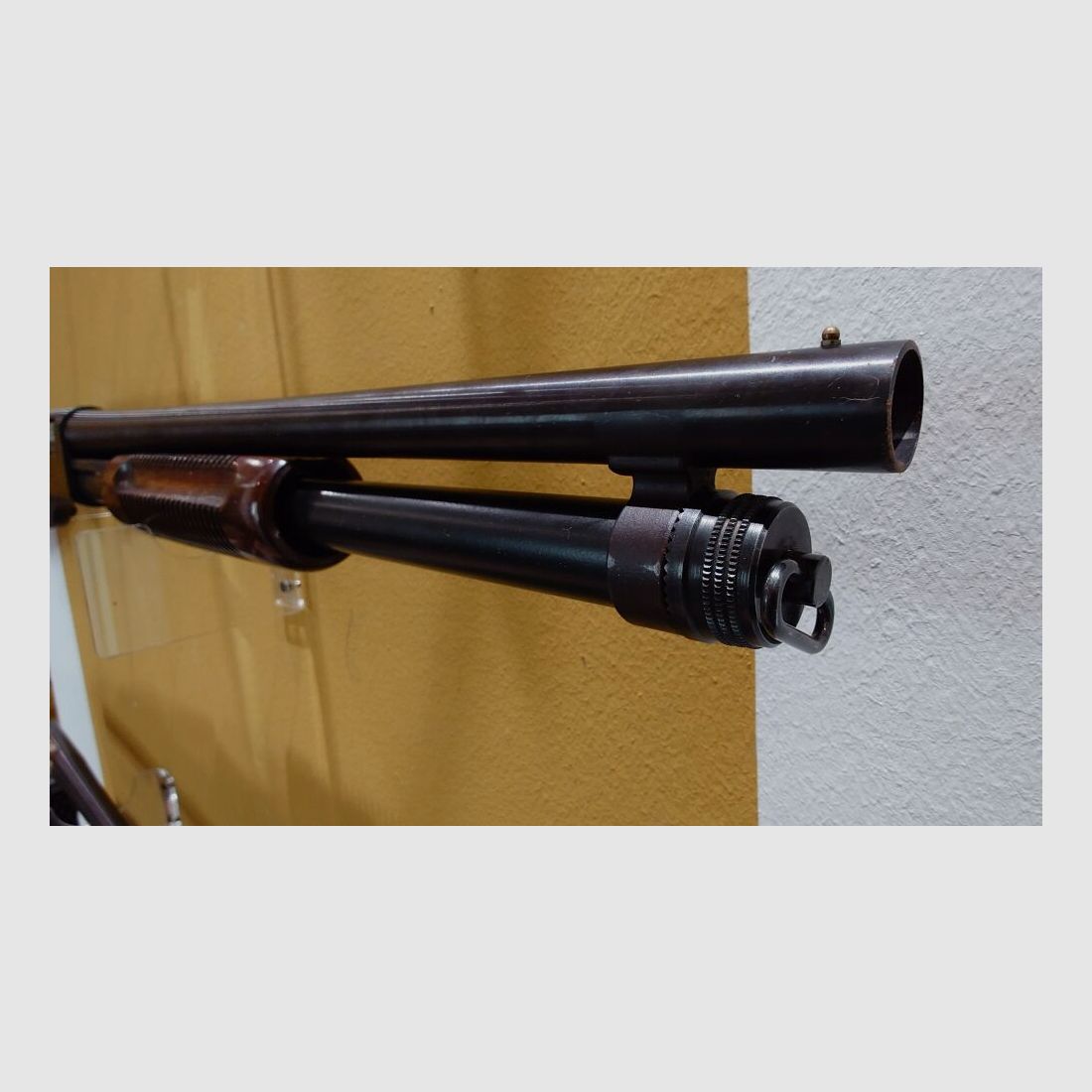 CBC 586 P