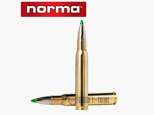 20 Patronen NORMA Kal. 30-06 sprg 150 Gr Ecostrike