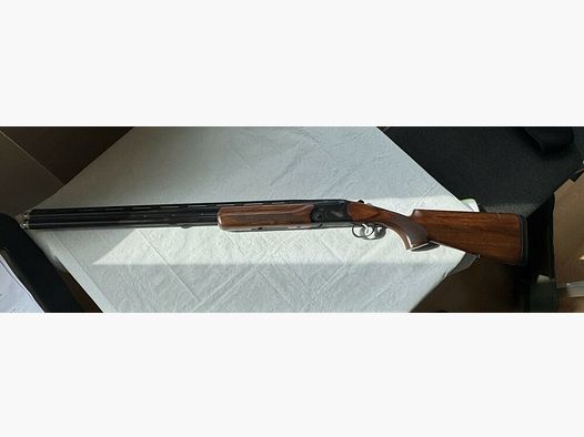 Kofs Kofs Zenith Sporting