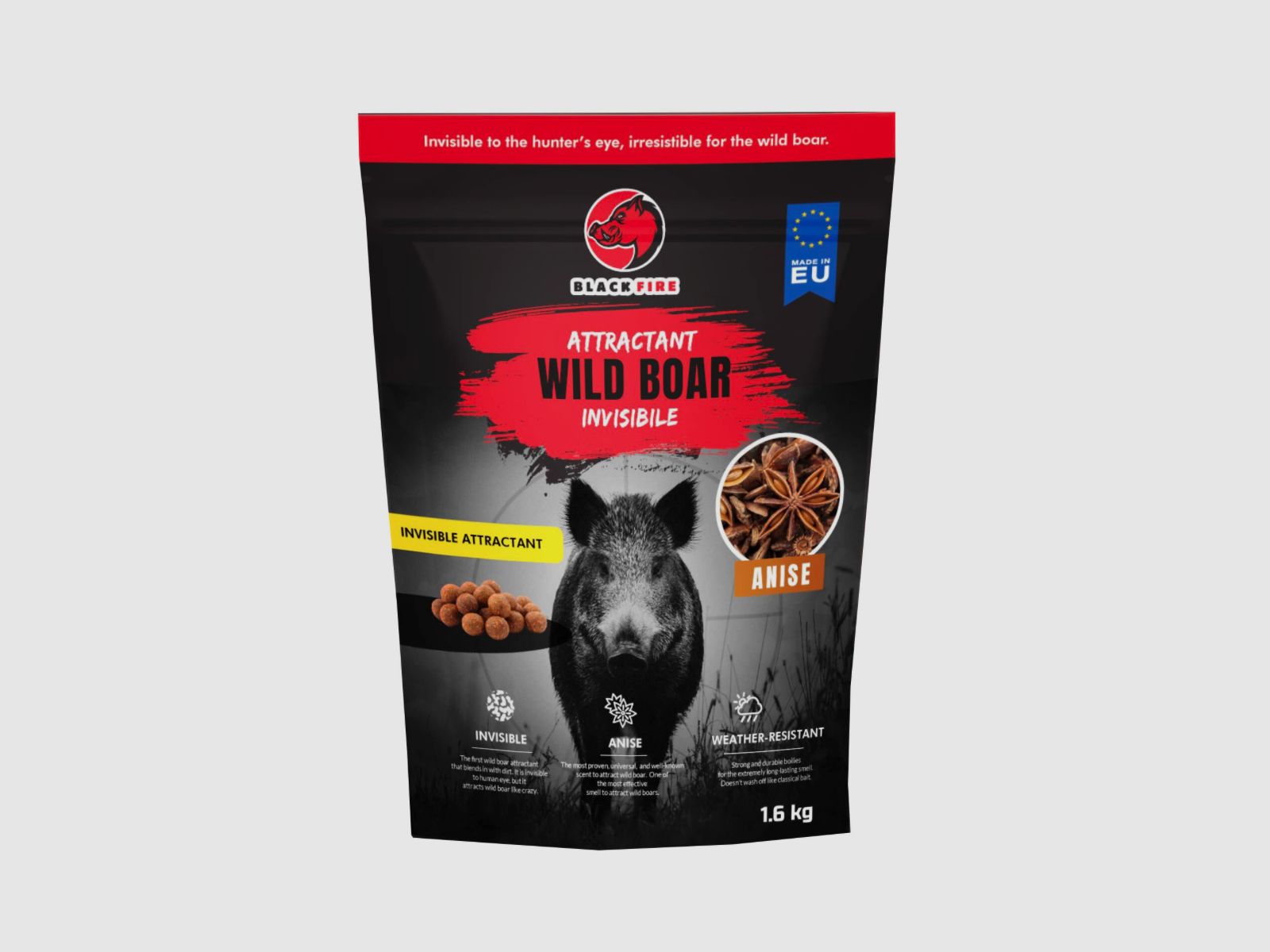 Zwarte Vuur Onzichtbaar Wild Zwijn