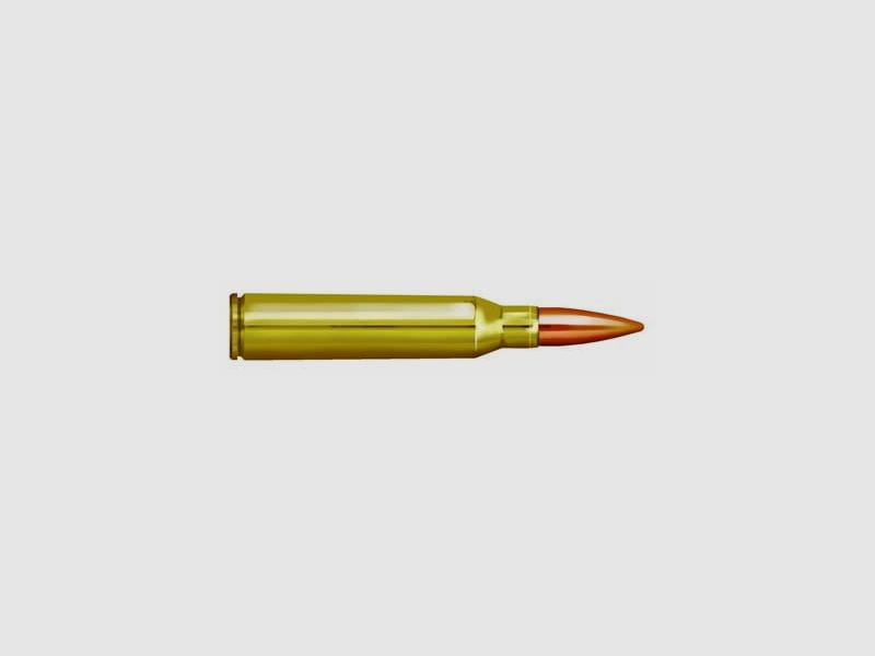 .338 Lapua Magnum FMJ 250 gr. - 10 pcs.