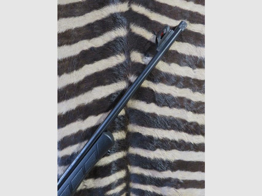Büchse ROSSI 8117 Kal. 17hmr Lauf 53 cm gewinde – 2 Magazine – Picatinny-Montagen, Bild 2 von 10