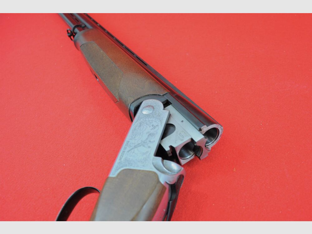Rizzini Albion