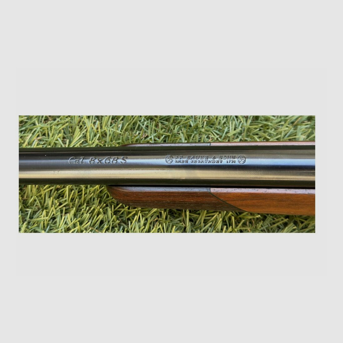 Sauer & Sohn 80 8x68S