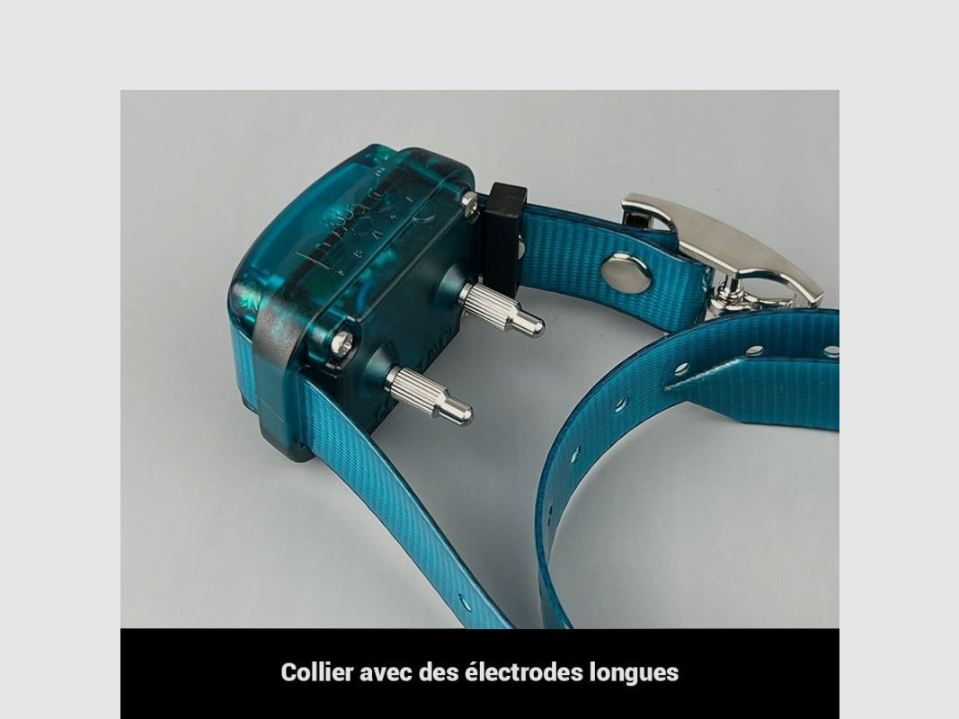 Zusätzlicher Kragen Mini+, Bild 12 von 12