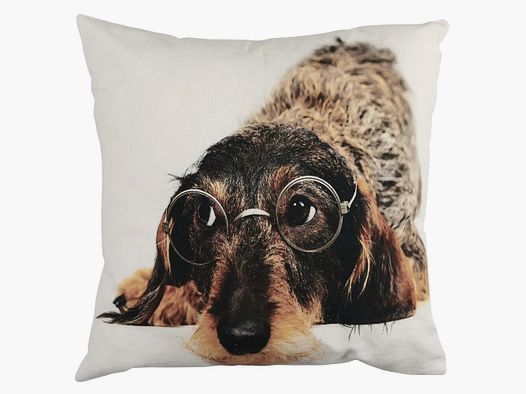 Kissen Dackel mit Brille 50x50 cm