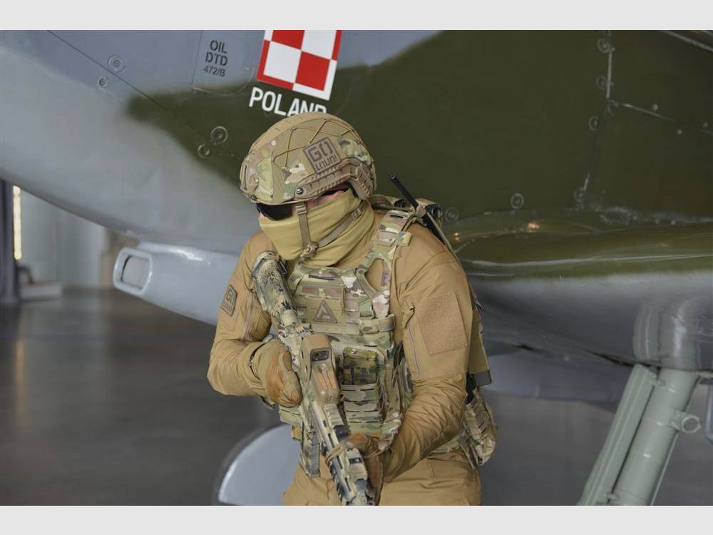 Plate Carrier Vest Spitfire Direct Action MultiCam, image 3 of 5
