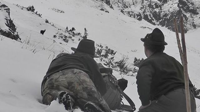 Hunting Chamois in Slovenia (Gamsjagd), Season 1 (Video 2), with Zac Vann V21