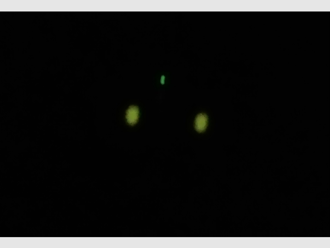 Trijicon Glock Tritium Sight