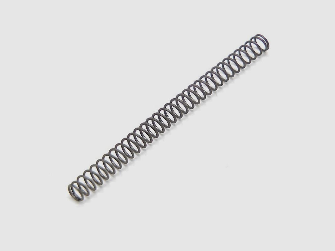 Molla di guida della chiusura S10 DE
