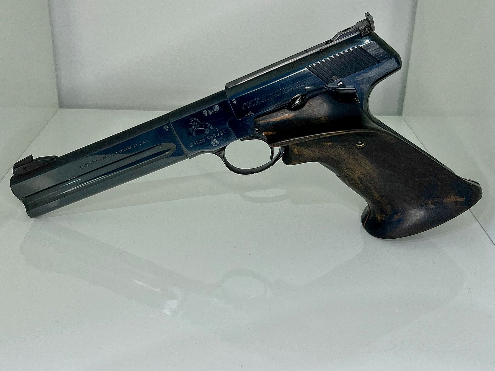 Colt Woodsman Match Target