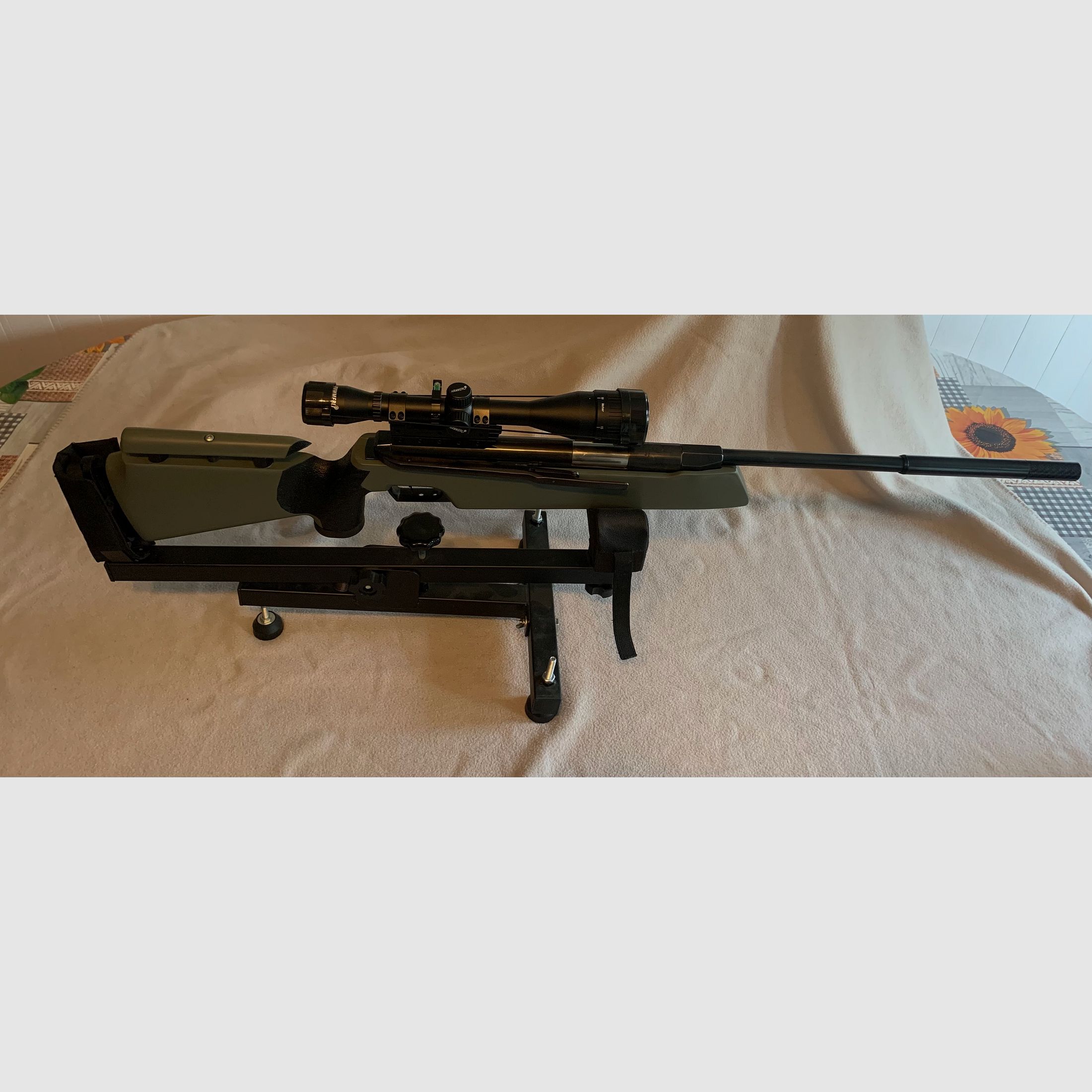 Feinwerkbau 300S mit ZF 