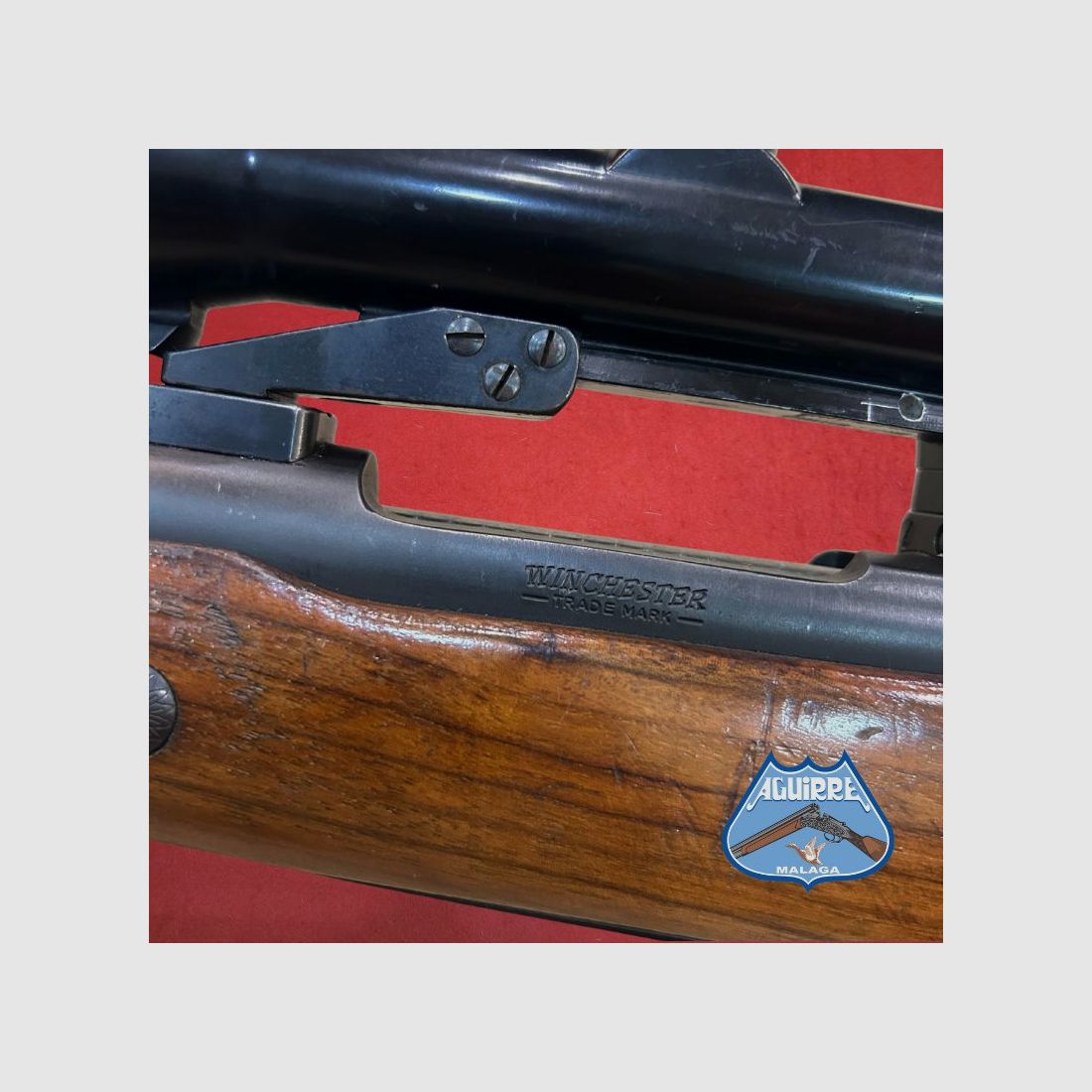 Fucile Winchester Mod 70 cal. .375 H&H + Montature Apel + Telescopio, immagine 5 di 11