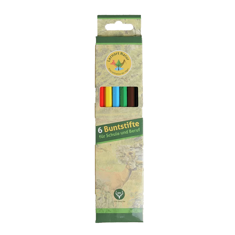 Learning Place Nature Colored Pencils