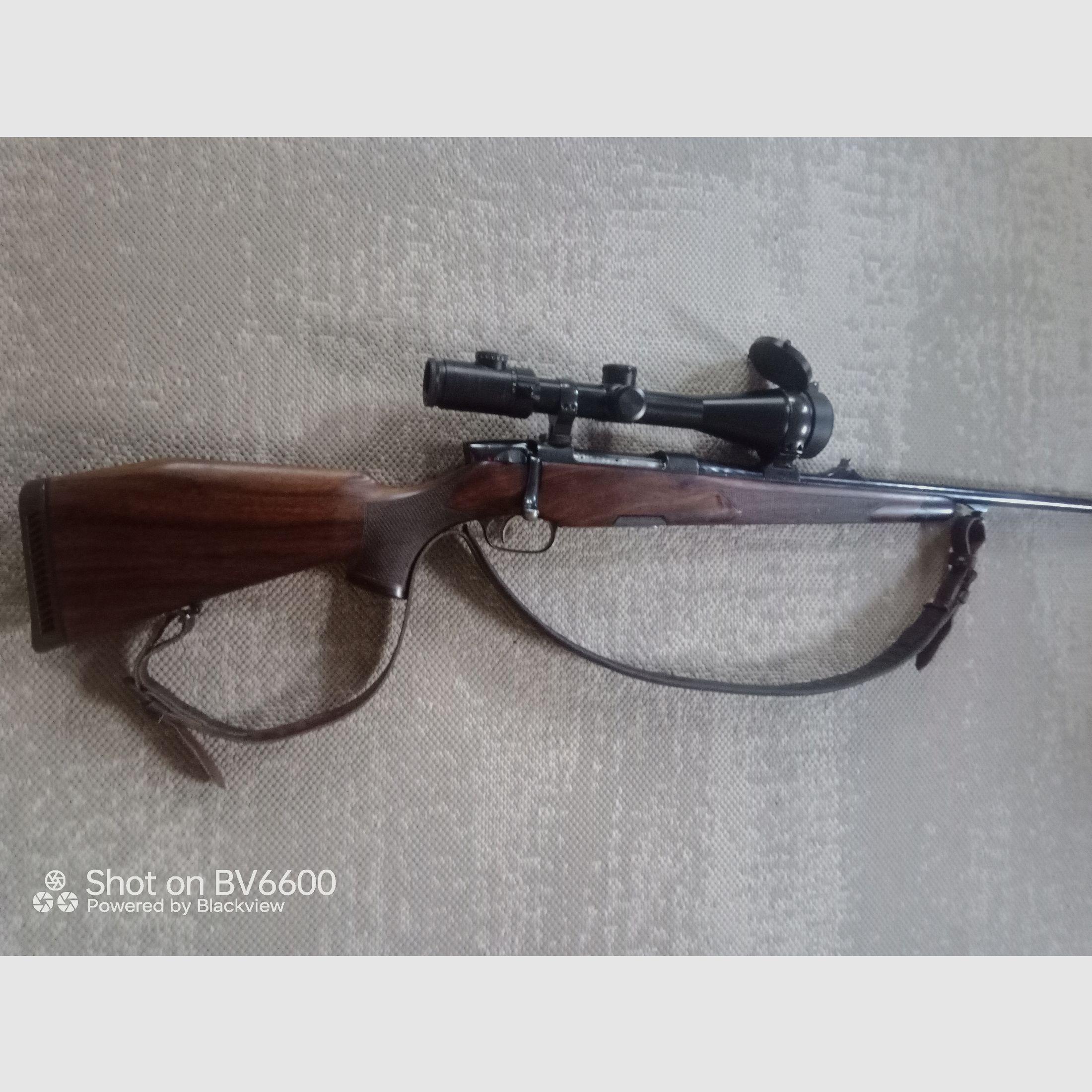Steyr Mannlicher Luxus 30.06