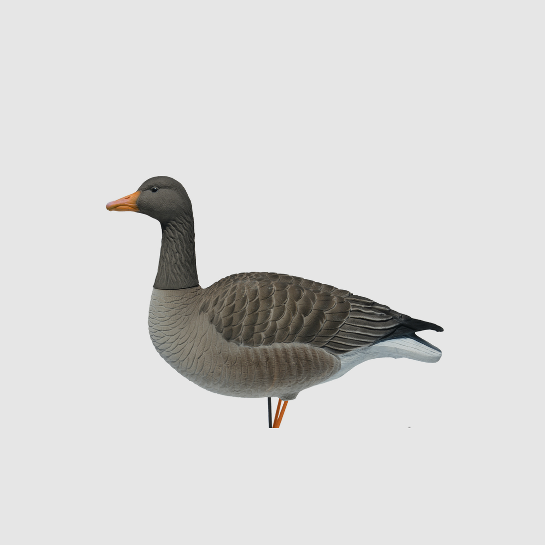 Prodecoys Elite Graugans-Lockvögel, beflockt – 6er-Set, Bild 8 von 8