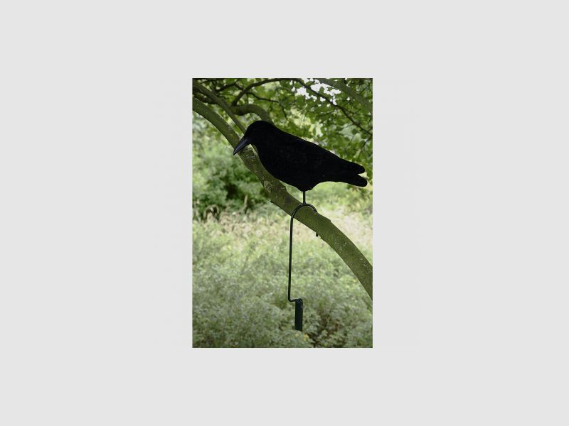 il Lago Passion Lifthaken für Tauben/Krähen |