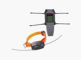 Collar NumAxes GPS Navidog