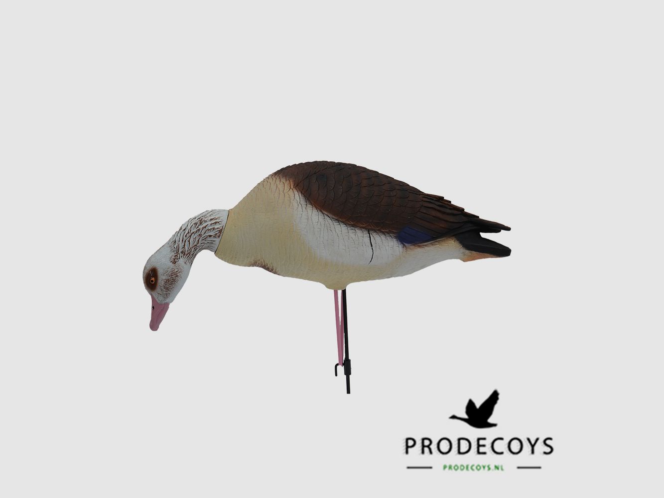 ProDecoys Elite Series Nilgans-Lockvögel Full Body – 6er-Set, Bild 4 von 10