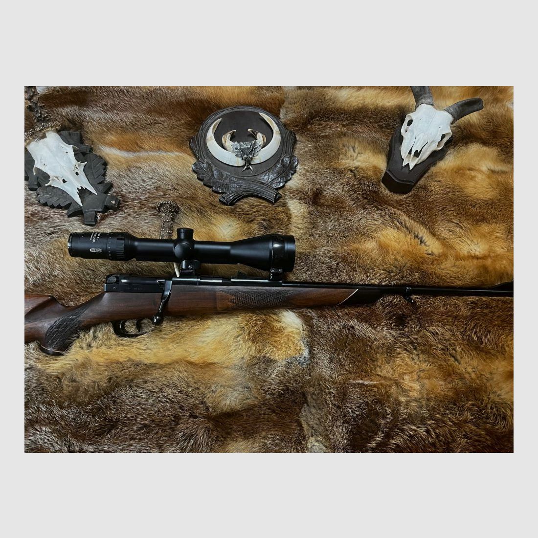Mauser 66, Bild 7 von 8