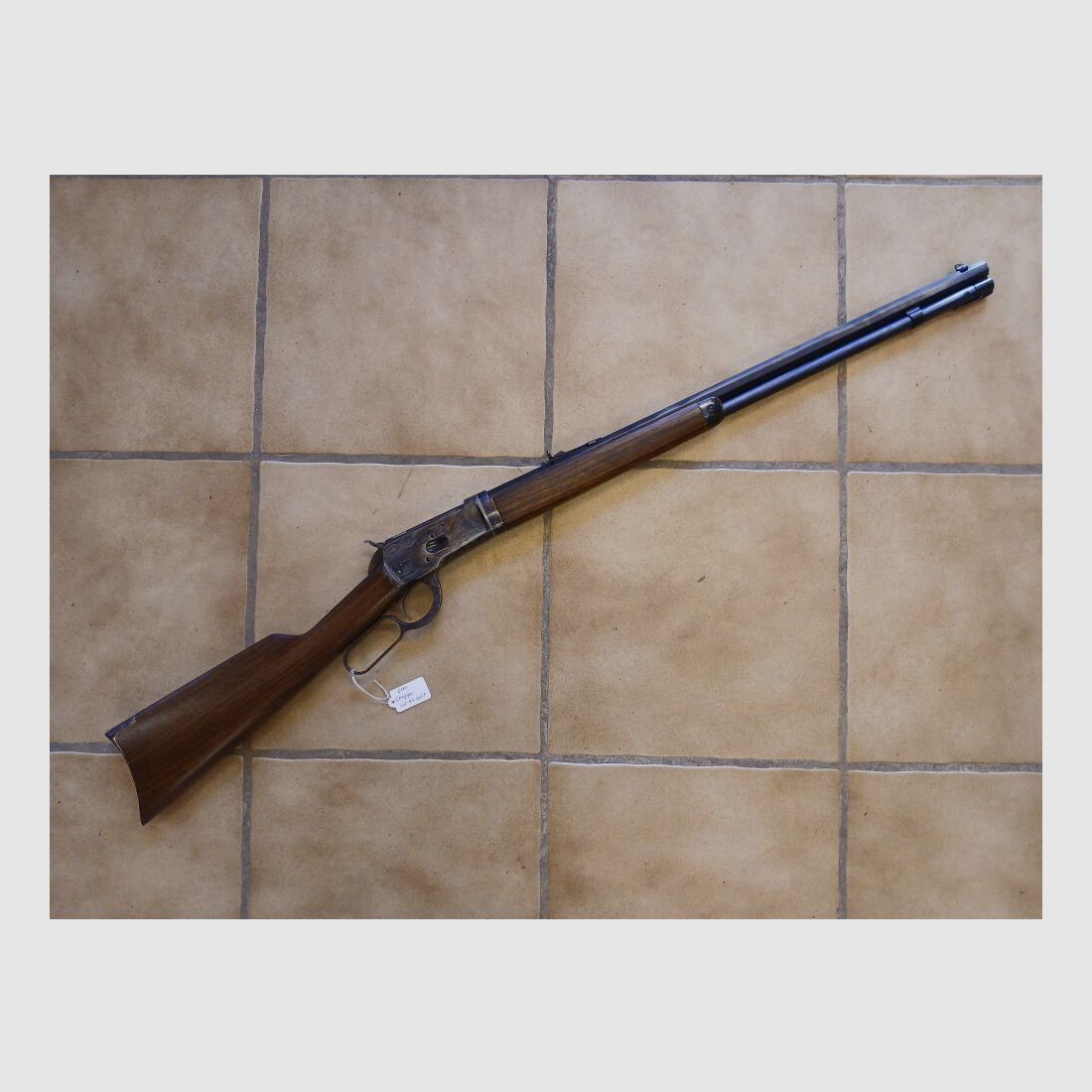 Chiappa