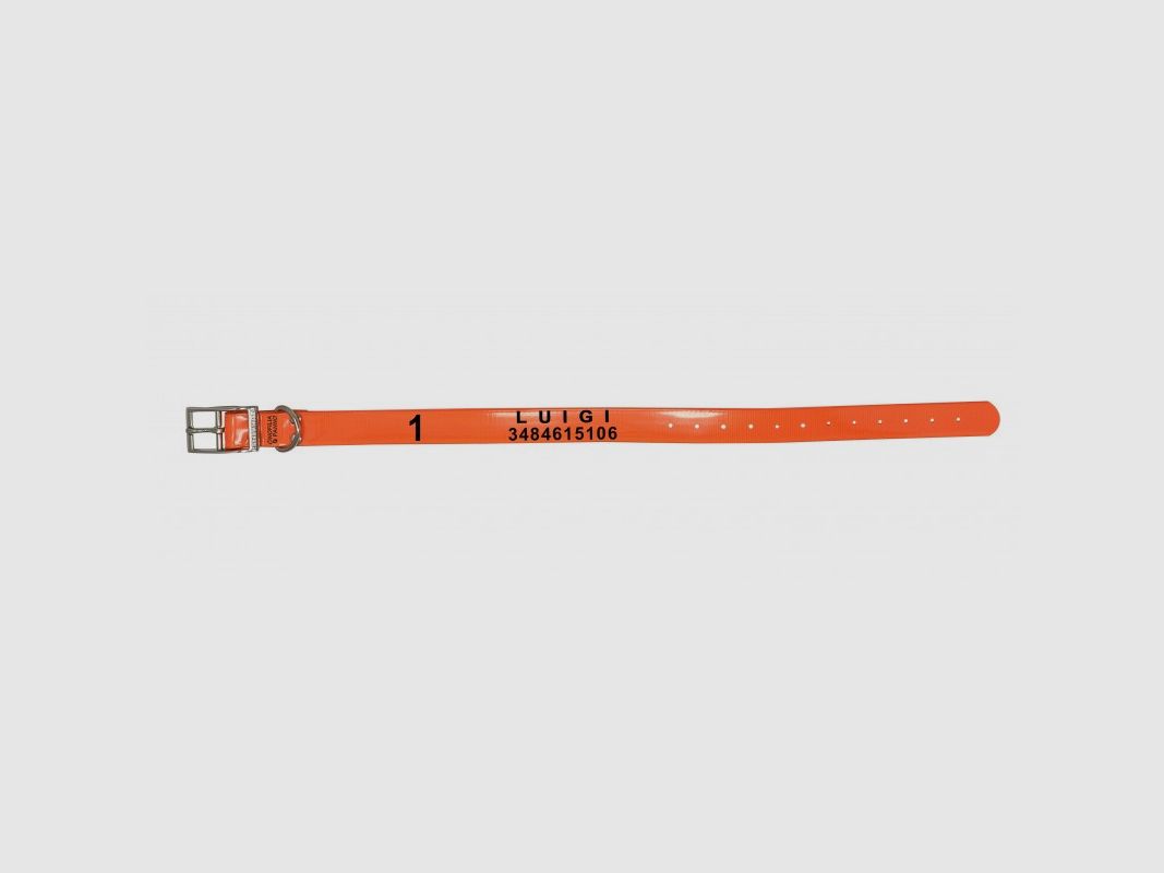 Collar personalizado grabado - para Garmin, imagen 2 de 3