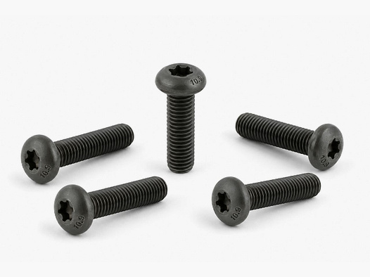 Spuhr schroeven voor spanningsklem M5x35 TX20 - 5 stuks