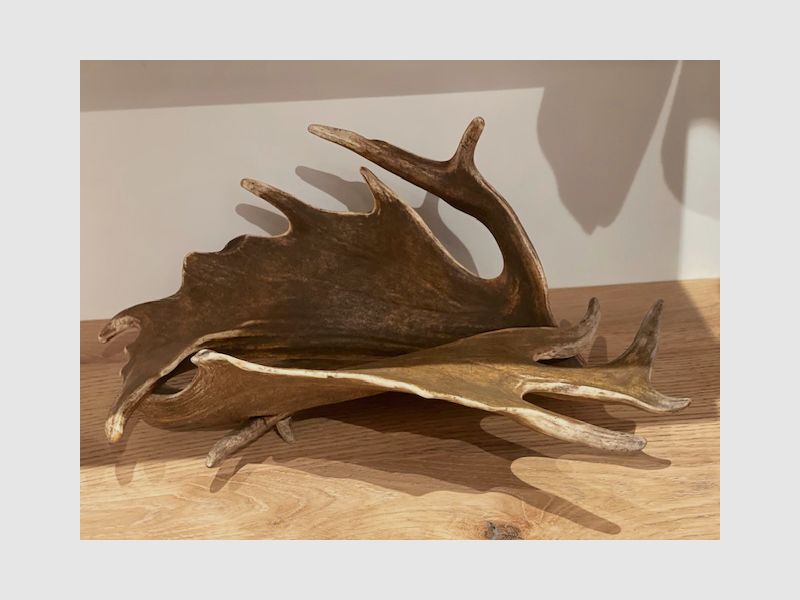 Obsthalter aus Dammhirsch Geweih