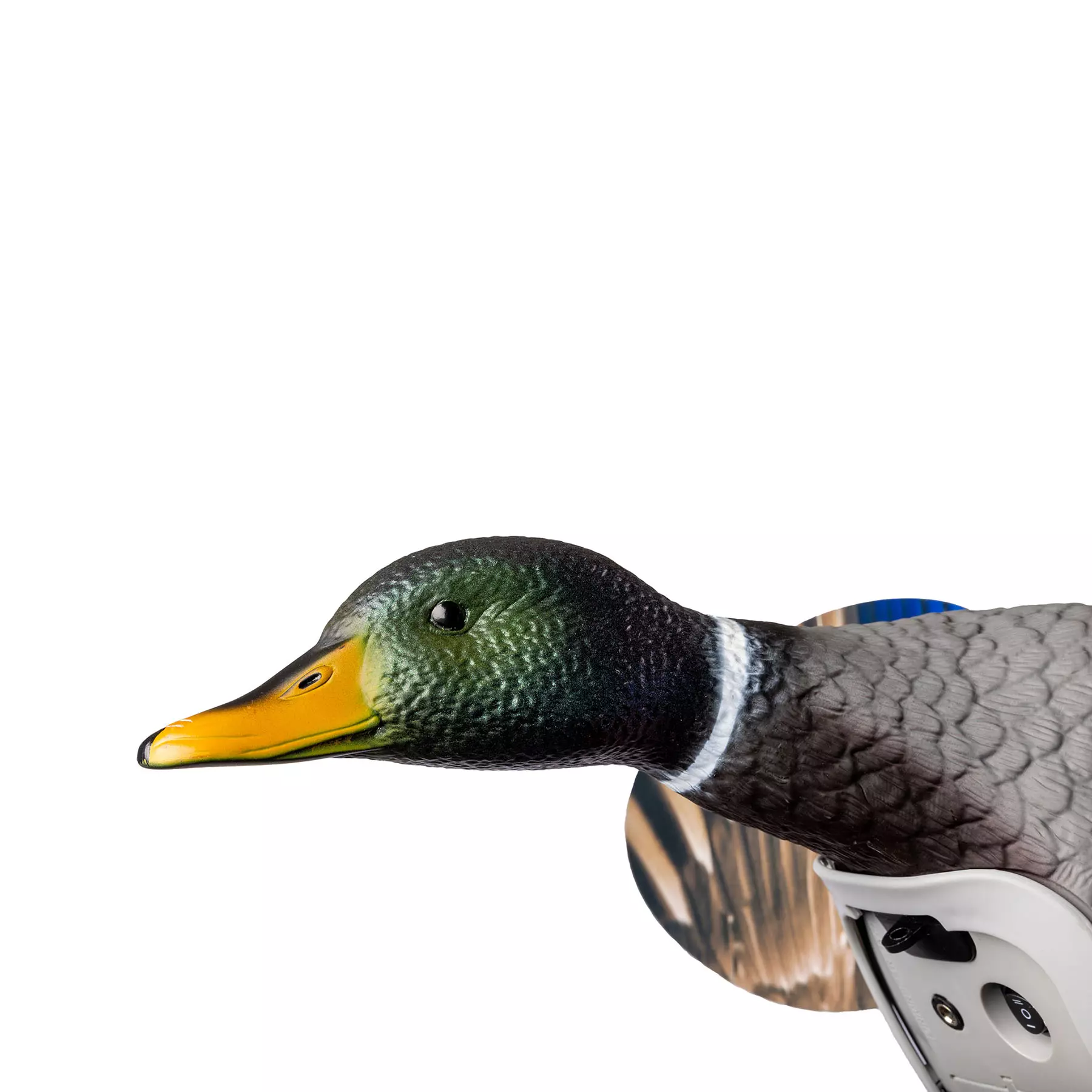 MOJO ES KING MALLARD mit Lio-Ion Batterie, Bild 4 von 8