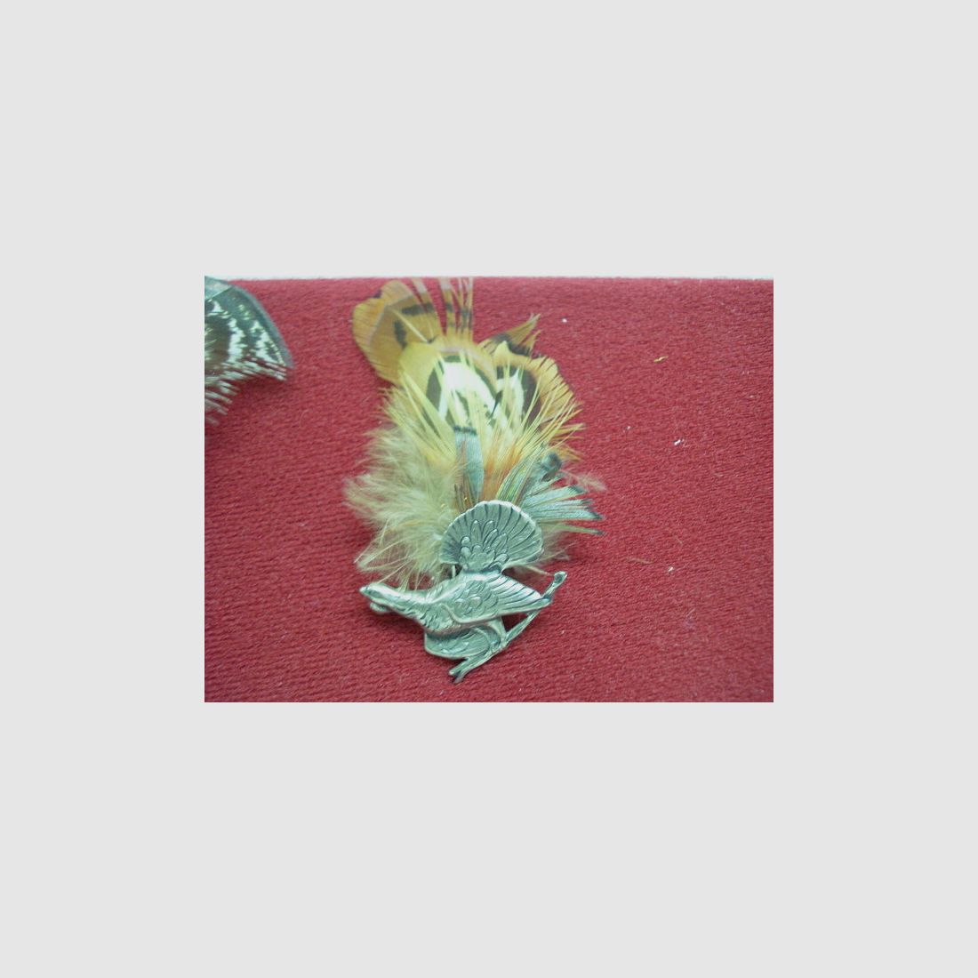 Hutfeder Jagd - Fasan