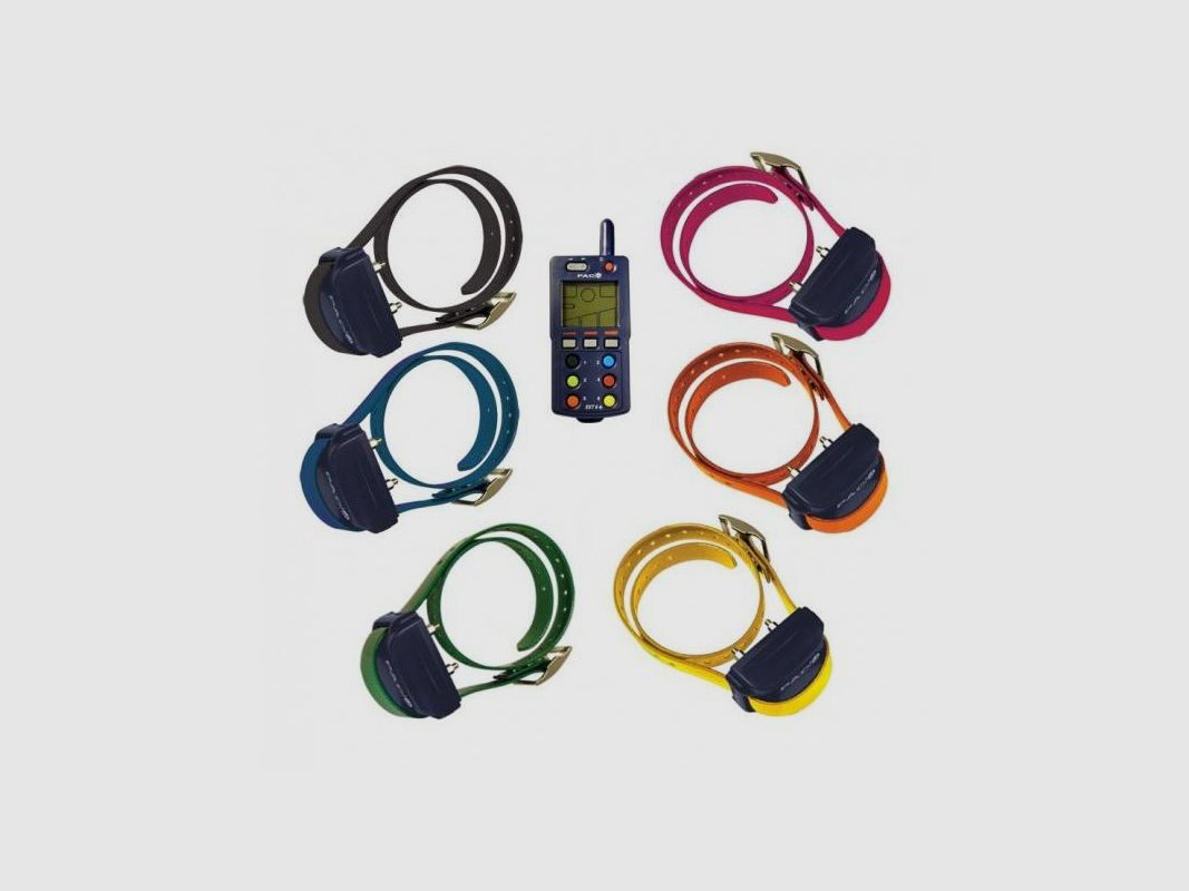 Trainingshalsband Dogtra PAC EXT 6-3000