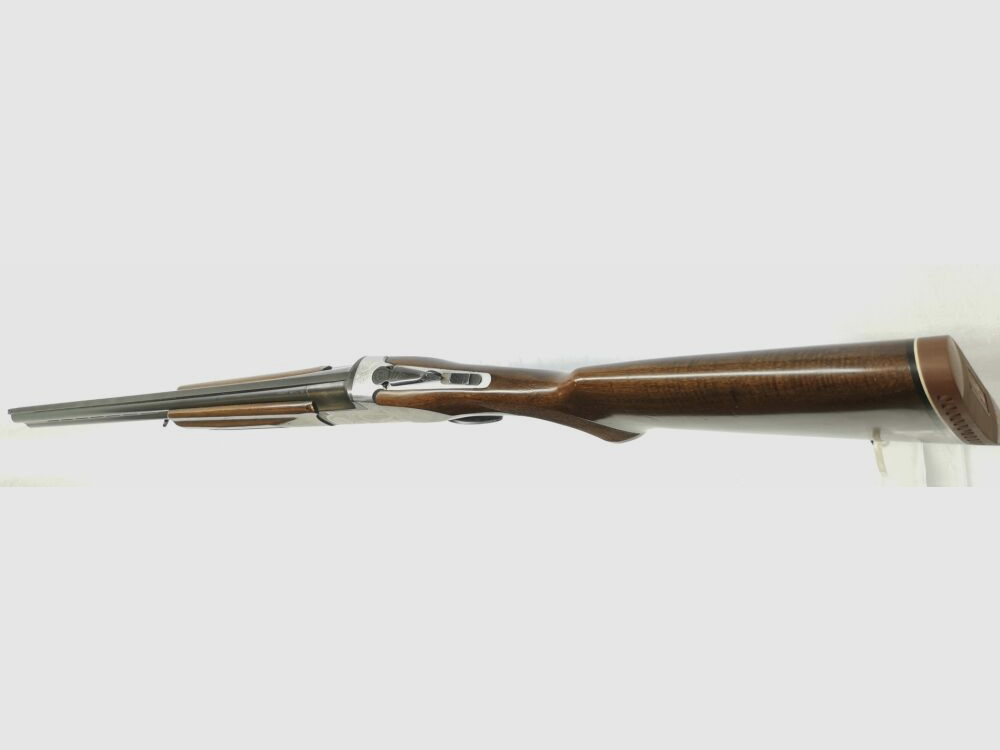 Rottweil 500
