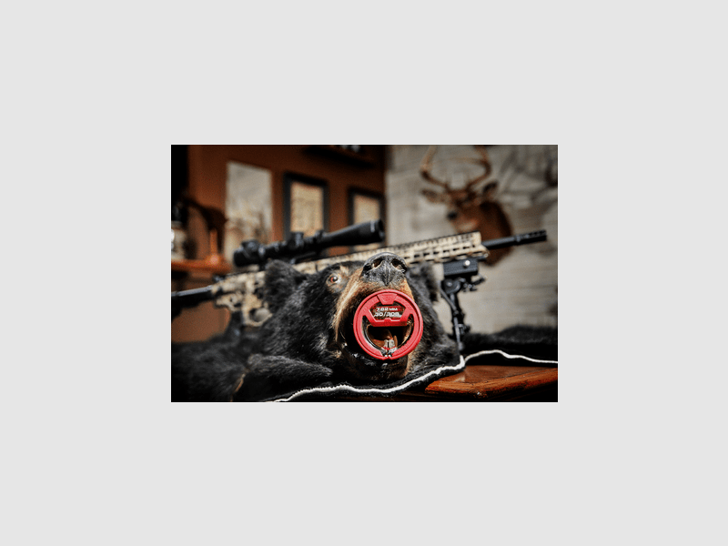 REINIGUNGSKABEL BORE BOSS REAL AVID - .30CAL/.308CAL/7.62MM, Bild 2 von 6
