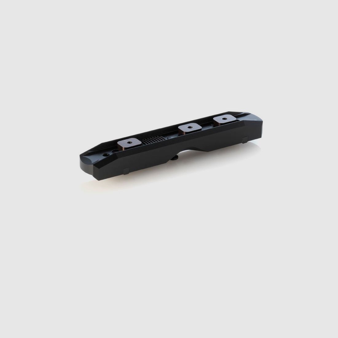 Dentler basic steel mounting rail