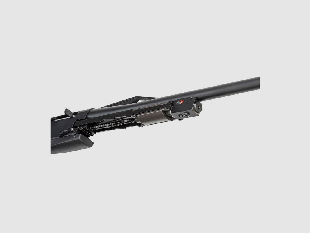 WINCHESTER SXR2 FIELD, image 8 sur 8