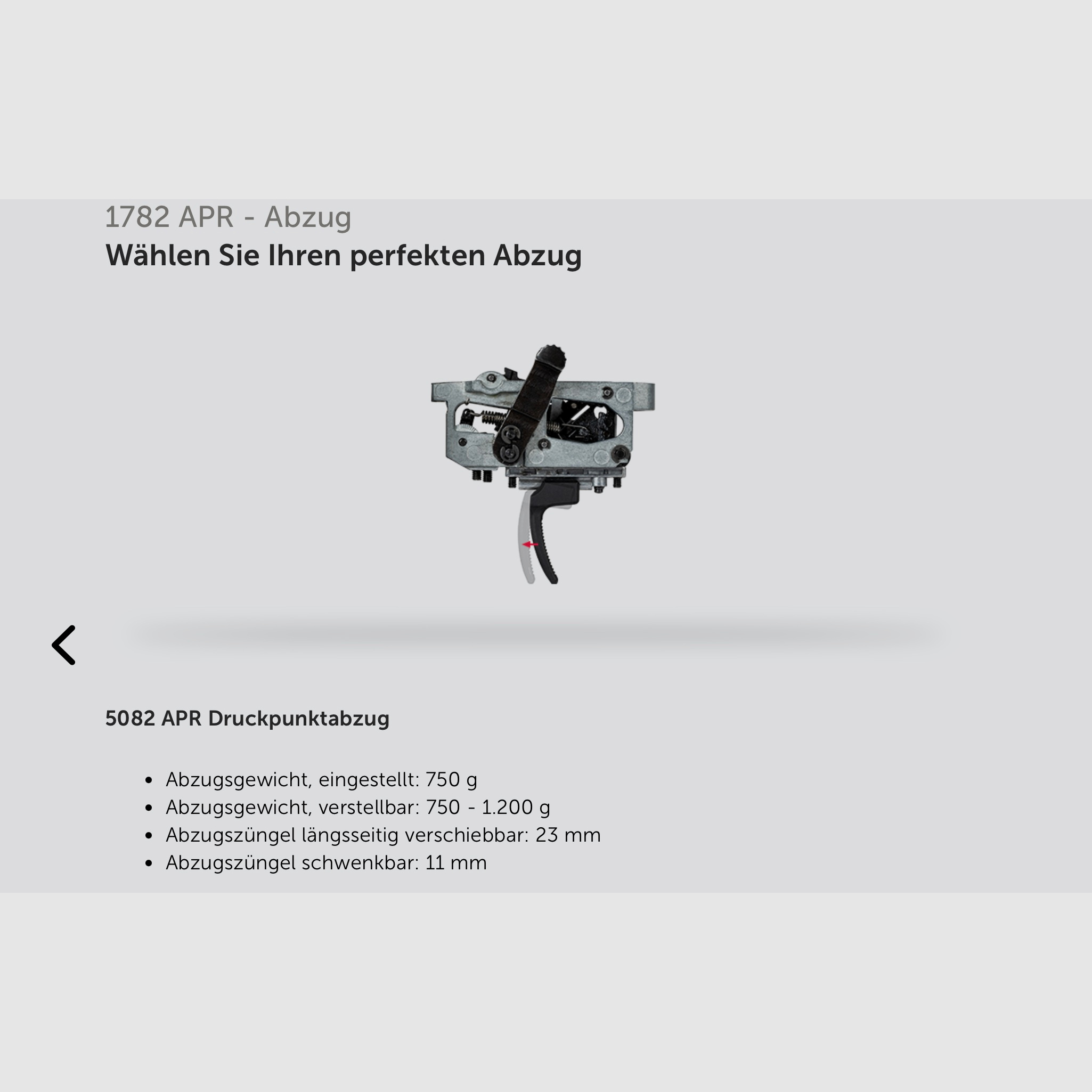 J.G. Anschütz 1782 APR 6,5 Creedmoor Carbon Grey im ACC Premier Chassis von MDT M18x1 660 LL