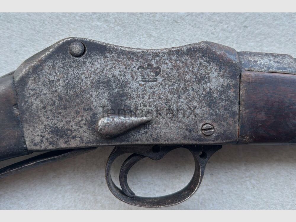 Enfield Bj. 1875 (vermutlich) .445SuperMag
